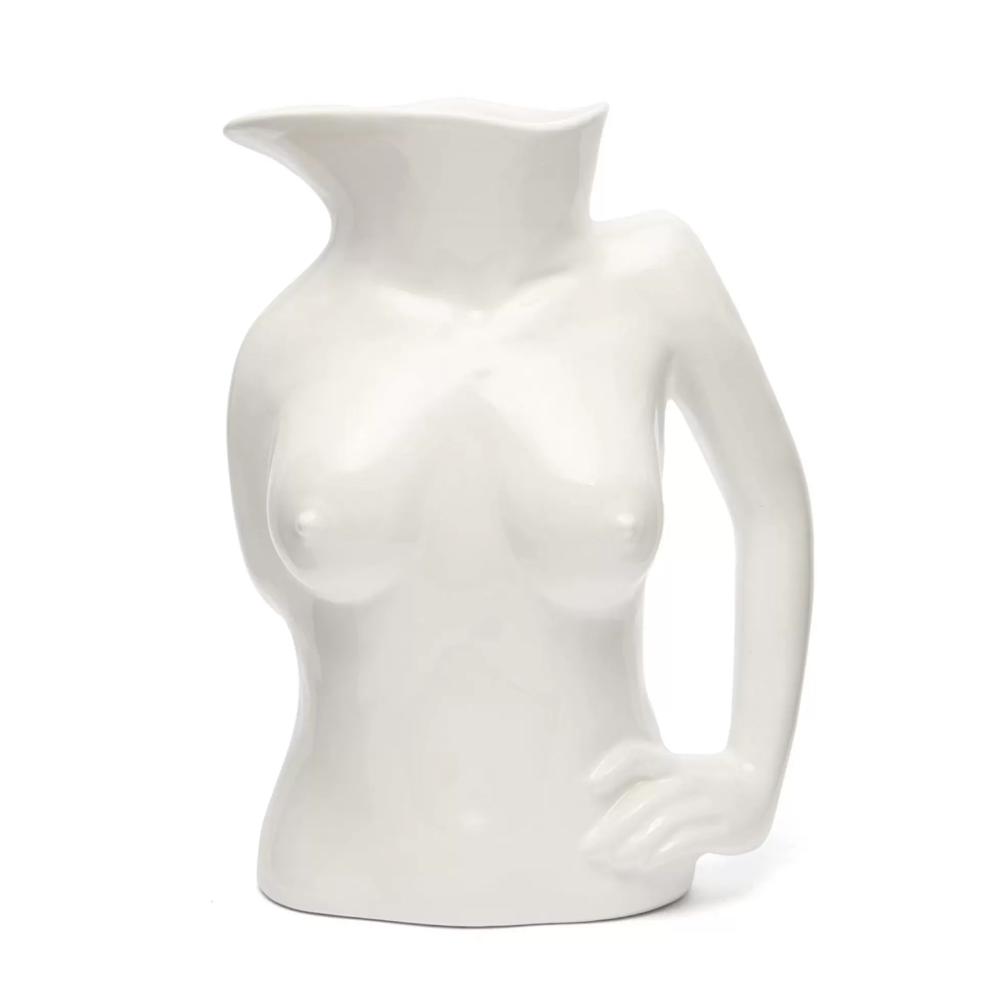 Shop Jugs Jug (High-Shine White) Home